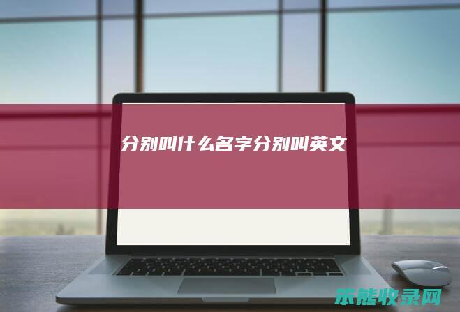 分别叫名字分别叫英文