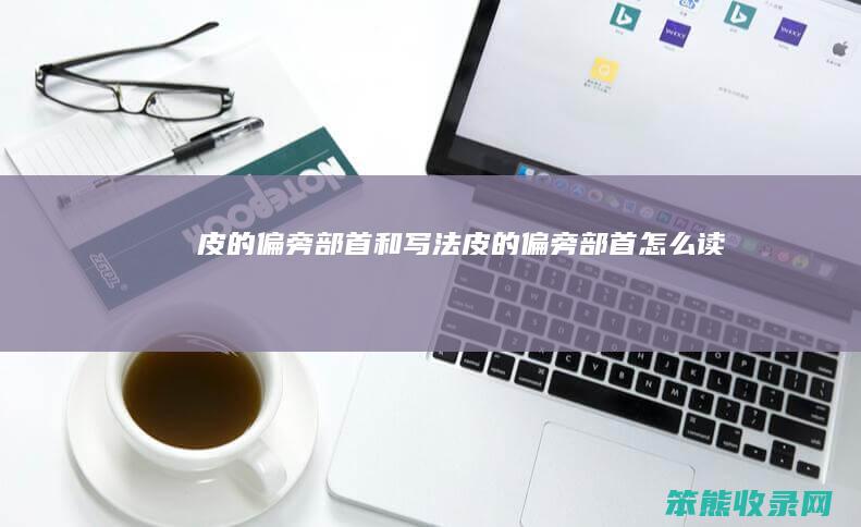 皮的偏旁部首和写法皮的偏旁部首读
