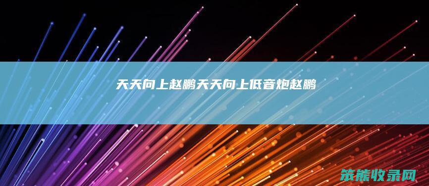 向上赵鹏向上低音炮赵鹏