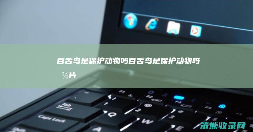百舌鸟是保护吗百舌鸟是保护吗图片