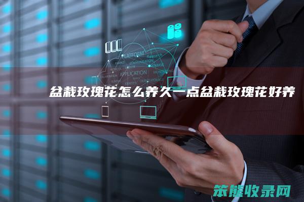 盆栽玫瑰花养久一点盆栽玫瑰花好养吗