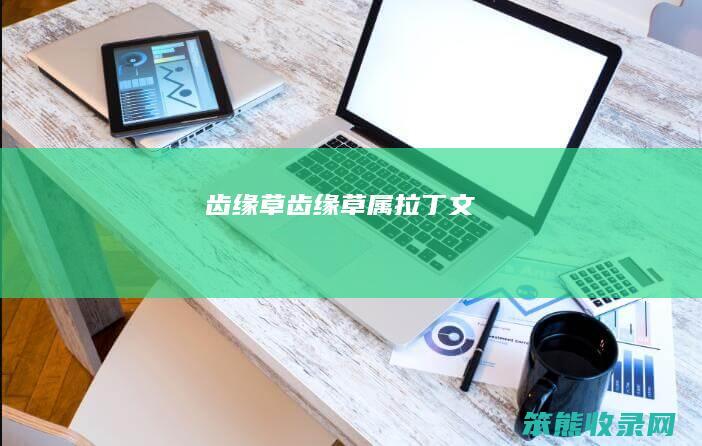 齿缘草齿缘草属拉丁文