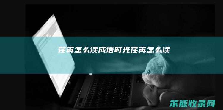 荏苒读成语时光荏苒读