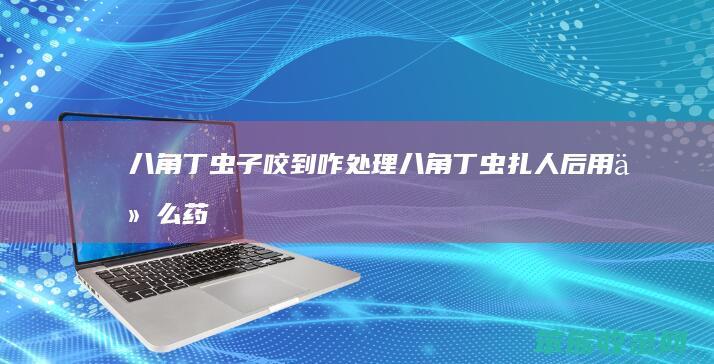 八角丁虫子咬到咋处理八角丁虫扎人后用药