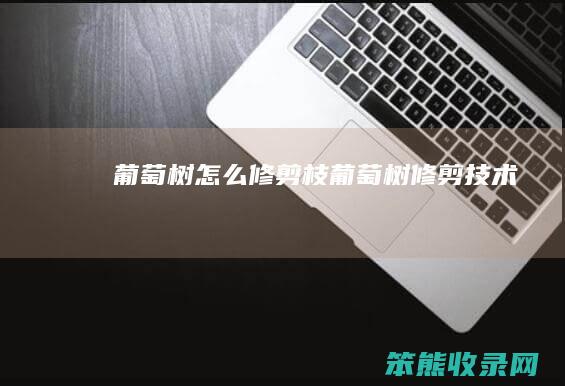 葡萄树修剪枝葡萄树修剪技术