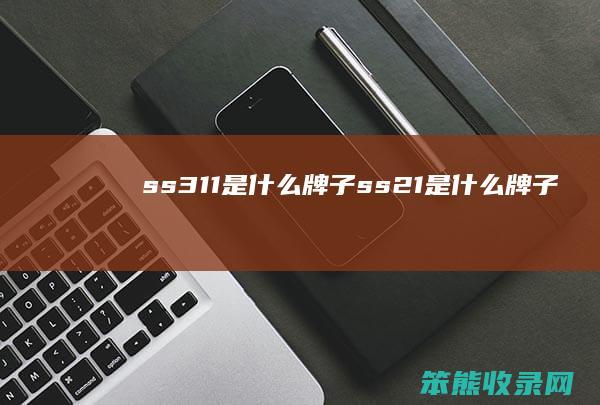 ss311是牌子ss21是牌子