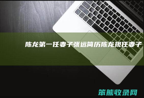 陈龙任妻子张远简历陈龙现任妻子