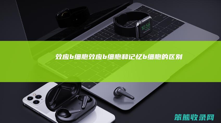 效应b细胞效应b细胞和记忆b细胞的