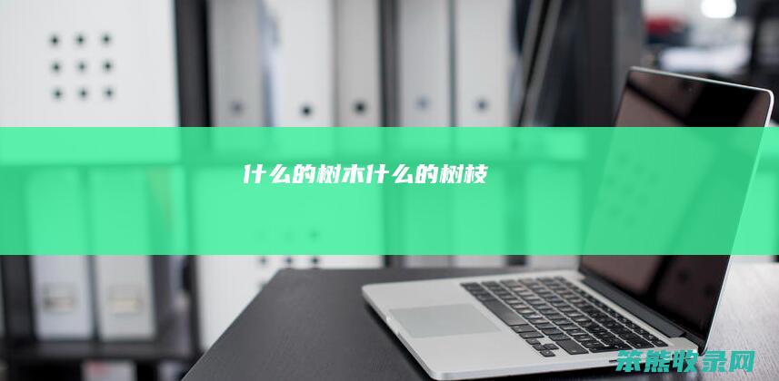 的树木的树枝