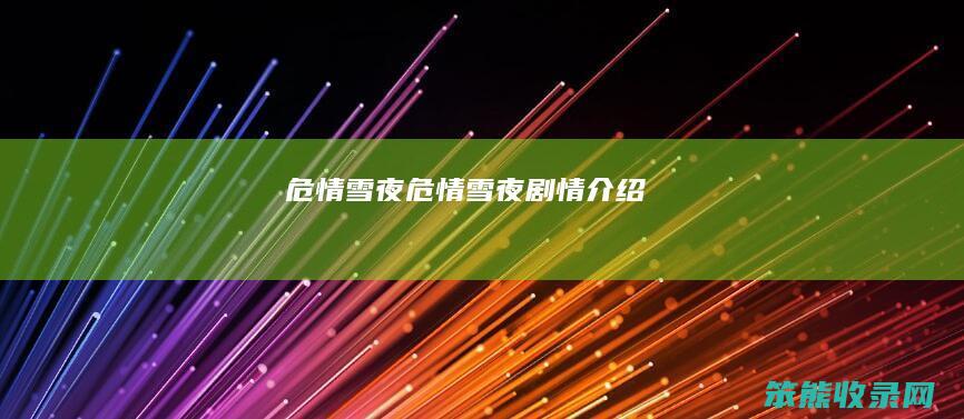 危情雪夜危情雪夜剧情
