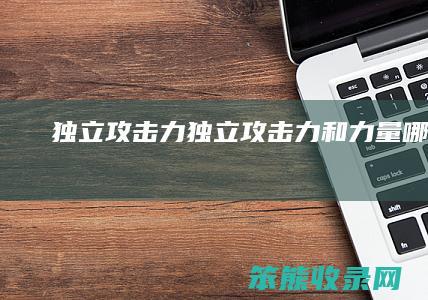 独立攻击力独立攻击力和哪个好