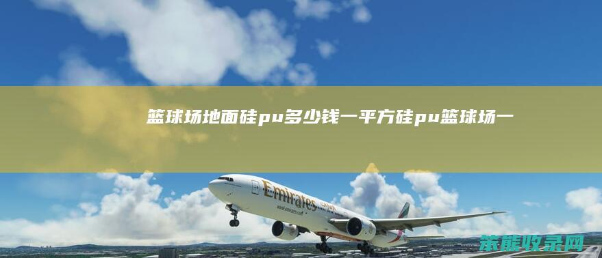 篮球场地面硅pu钱一平方硅pu篮球场一
