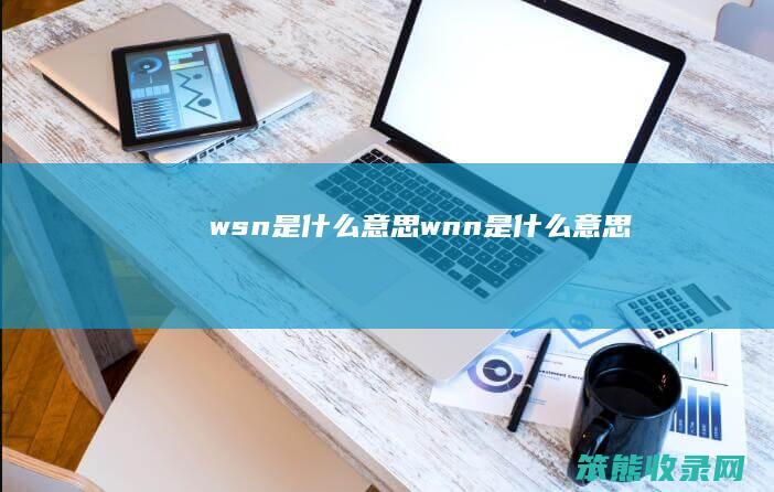 wsn是wnn是