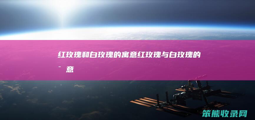 红玫瑰和白玫瑰的红玫瑰与白玫瑰的