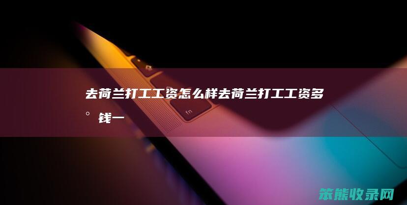 去荷兰打工工资样去荷兰打工工资钱一