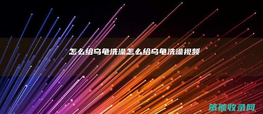 给乌龟洗澡给乌龟洗澡视频