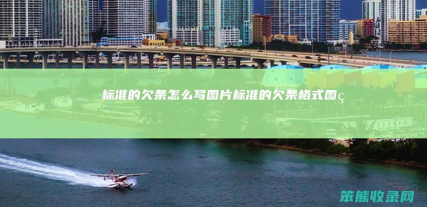 标准的欠条写图片标准的欠条格式图片