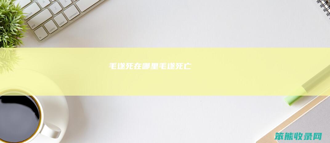 毛遂死在哪里（毛遂死亡）