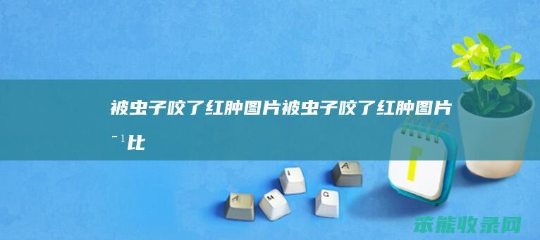 被虫子咬了红肿图片被虫子咬了红肿图片