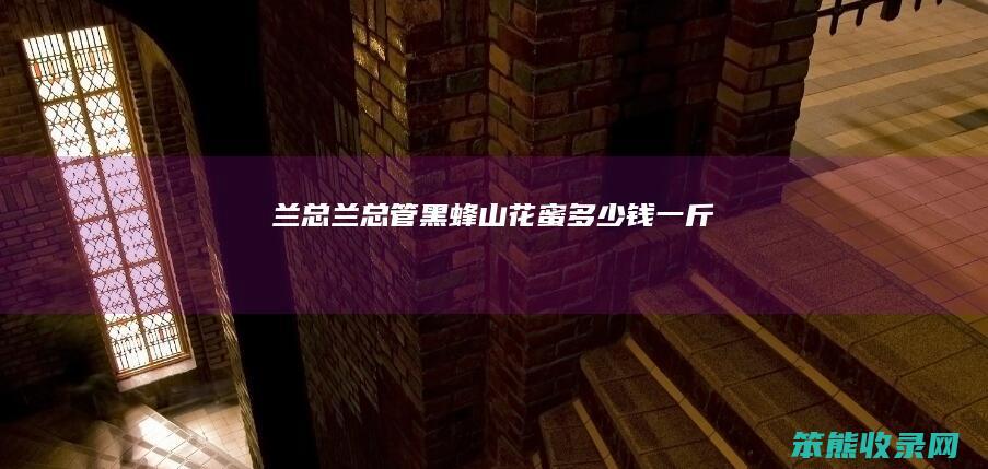 兰总兰总管黑蜂山花蜜钱一斤