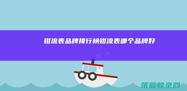 钳流表品牌排行榜（钳流表哪个品牌好）