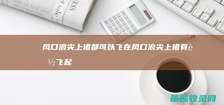 风口浪尖上猪都可以飞在风口浪尖上猪有能飞起