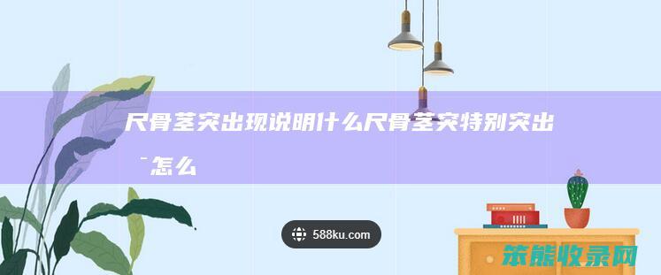 尺骨茎突出现说明尺骨茎突特别突出是