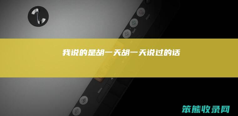 我说的是胡一天胡一天说过的话
