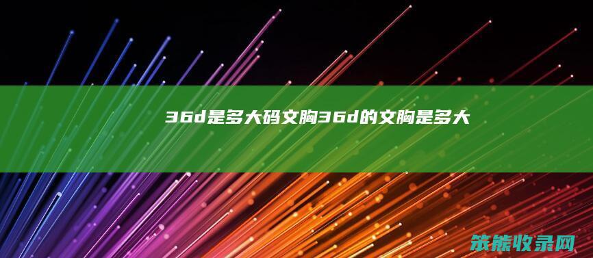 36d是多大码文胸(36d的文胸是多大)