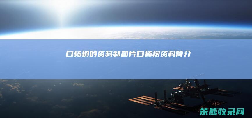 白杨树的资料和图片白杨树资料