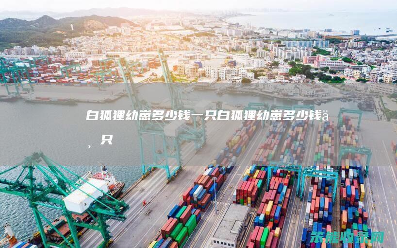 白狐狸幼崽钱一只白狐狸幼崽钱一只