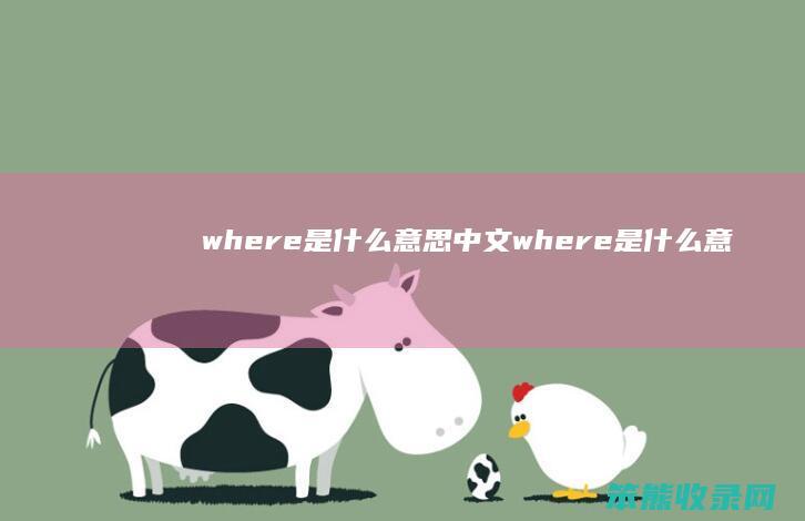 where是什么意思中文（where是什么意思呀）