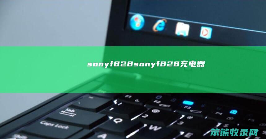 sonyf828sonyf828充电器