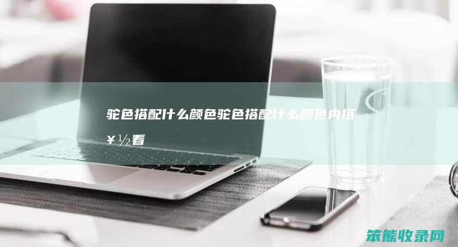 驼色搭配什么颜色（驼色搭配什么颜色内搭好看）