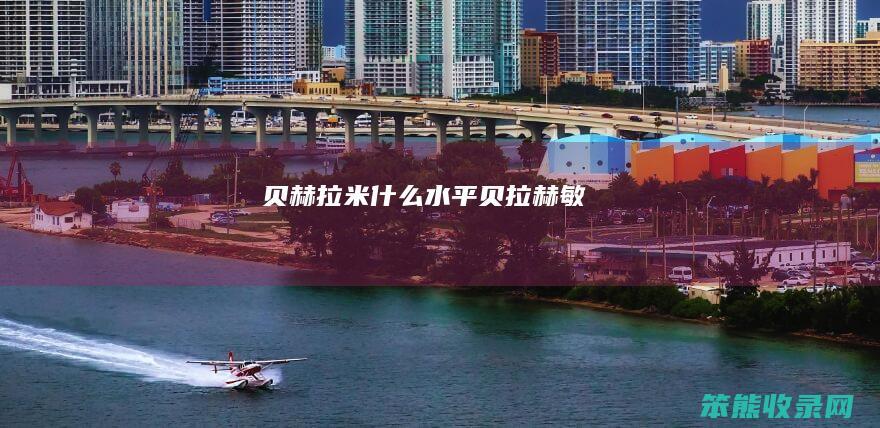 贝赫拉米水平贝拉赫敏