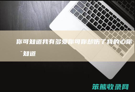 你可我有多爱你可你却伤了我的心你可