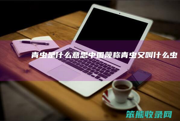 青虫是中国蔑称青虫又叫虫