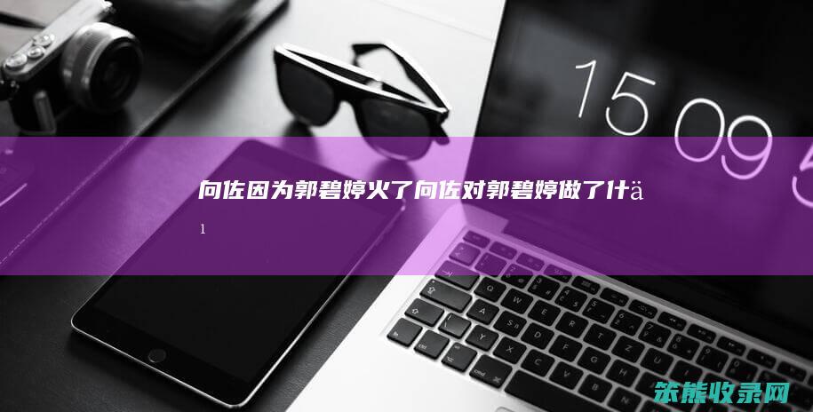 向佐因为郭碧婷火了向佐对郭碧婷做了什么