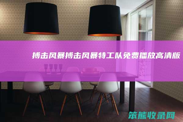 搏击风暴搏击风暴特工队免费播放高清版