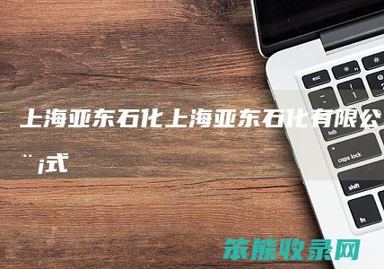 上海亚东石化上海亚东石化有限公司模式