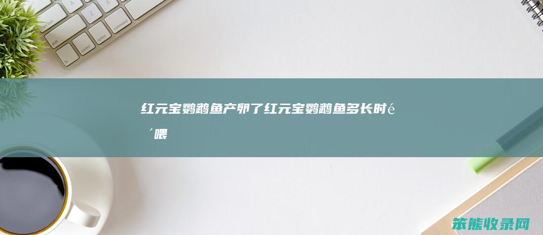 红元宝鹦鹉鱼产卵了红元宝鹦鹉鱼多长喂