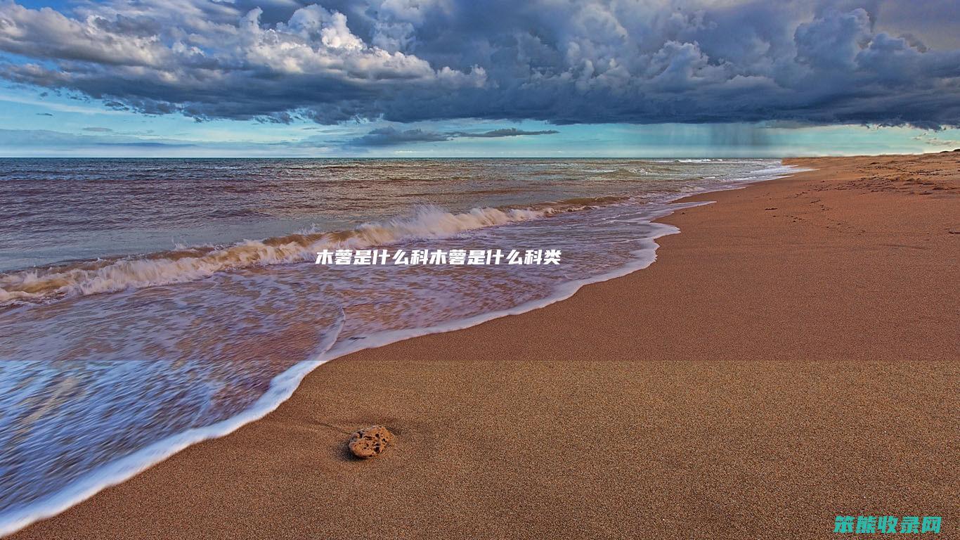 木薯是什么科（木薯是什么科类）