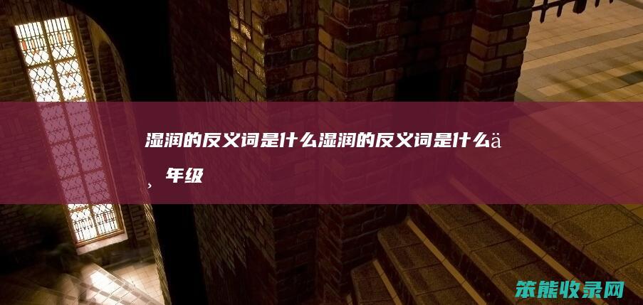 湿润的反义词是什么（湿润的反义词是什么三年级上册语文）