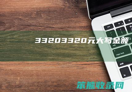 33203320元大写金额