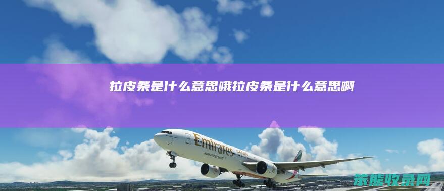 拉皮条是哦拉皮条是啊