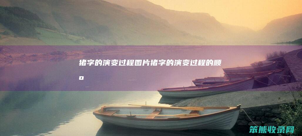 猪字的演变过程图片（猪字的演变过程的顺序）