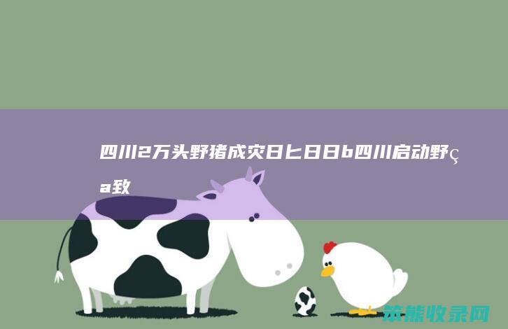 四川2万头野猪成灾日匕日日b四川启动野猪致
