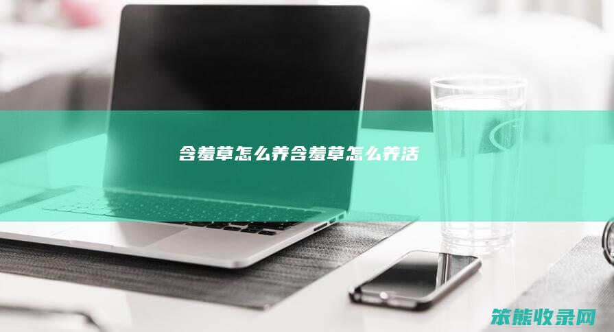 含羞草养含羞草养活