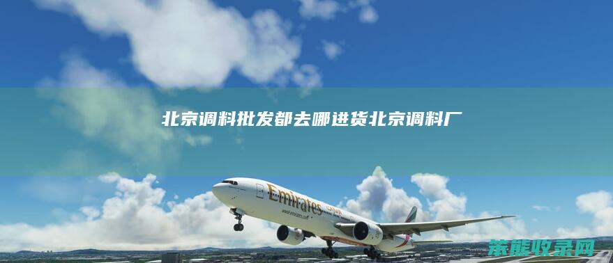 北京调料批发都去哪进货（北京调料厂）