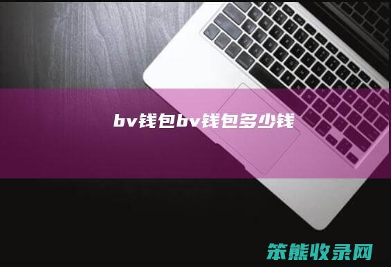 bv钱包(bv钱包多少钱)